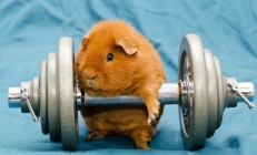 米兰体育官网-巴雷拉关键时刻站出来，牙买加斩落丹麦，加勒比风暴席卷欧洲童话