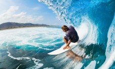 ac米兰-武切维奇数据全面爆炸！黄蜂主场力克骑士，全能中锋展现统治级表现