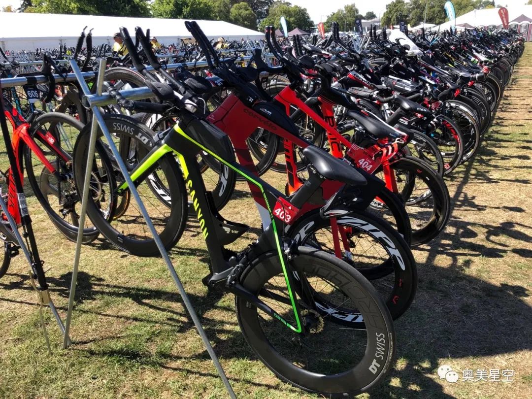 关于新西兰队取得令人震惊的成绩的信息