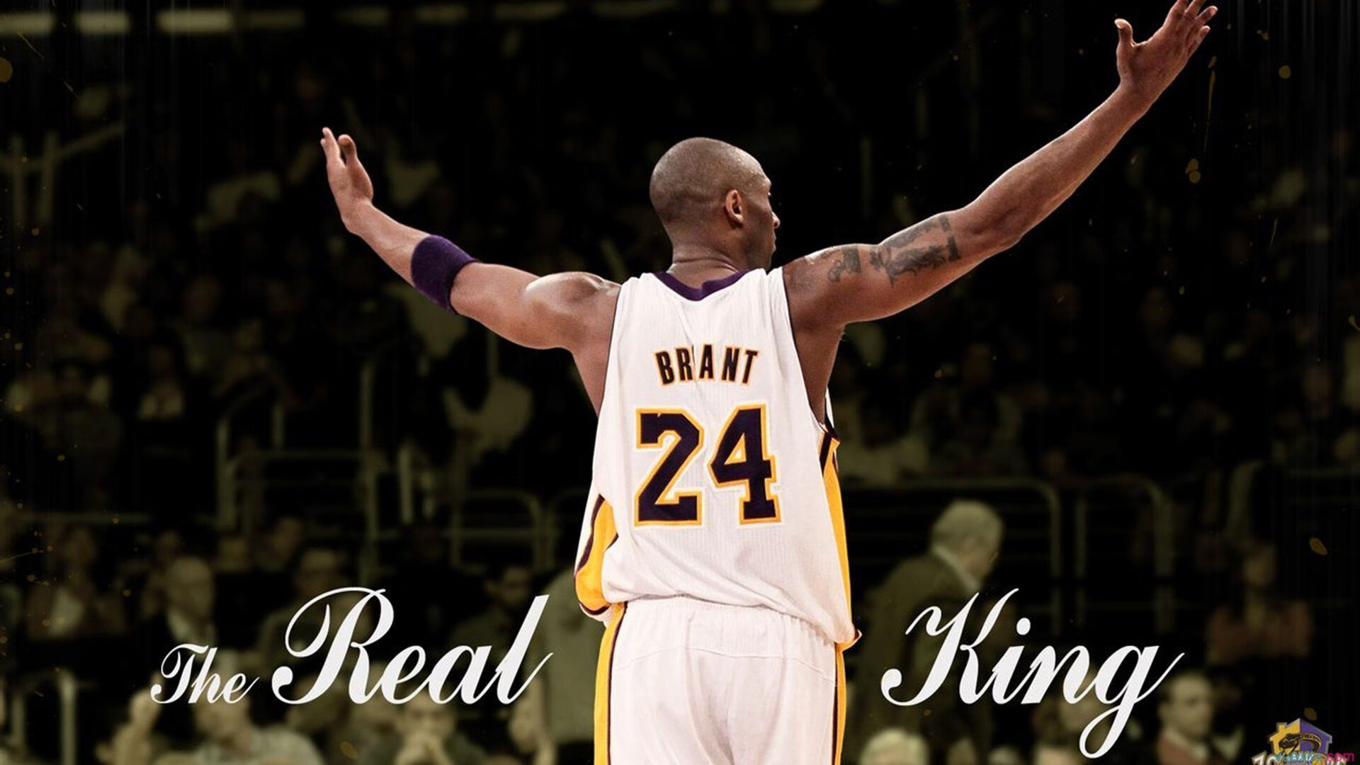 武切维奇接管年度焦点之战，湖人争冠路上力克火箭的关键一役